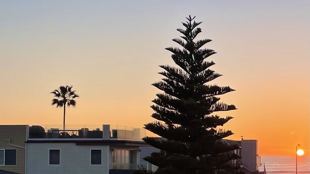 Un barrio residencial con una escalera que lleva a un balcón, un alto árbol de hoja perenne y una puesta de sol al fondo.