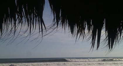 Pelicano Surf Camp