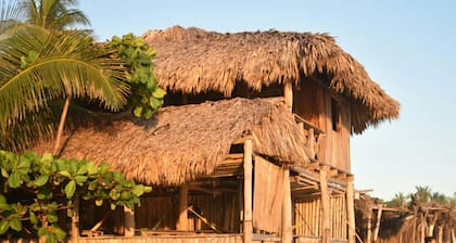 Pelicano Surf Camp