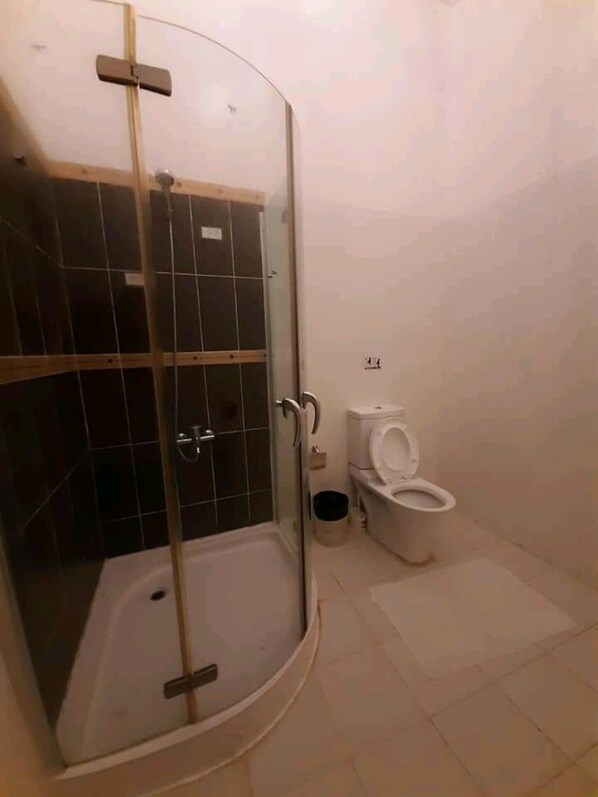 A bathroom with a glass-enclosed shower, a toilet, and a small trash bin.