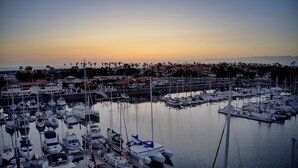 A marina with numerous boats docked, surrounded by residential buildings and palm trees.