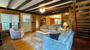 Smart TV, fireplace, video games, books