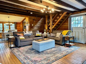 Smart TV, fireplace, video games, books