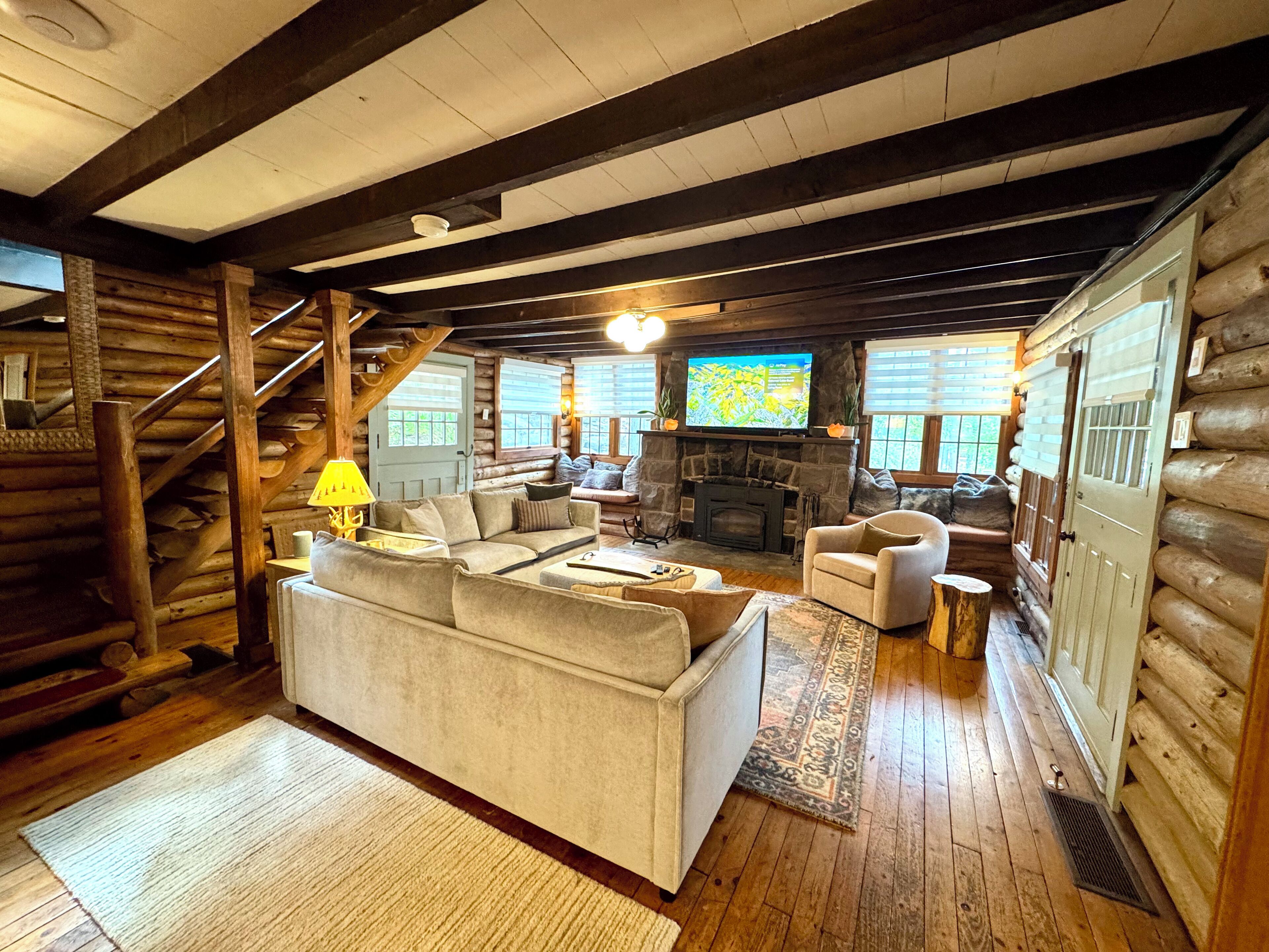 Smart TV, fireplace, video games, books