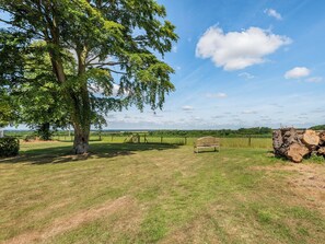 A grassy field with a wooden bench, a large tree, and a pile of logs.