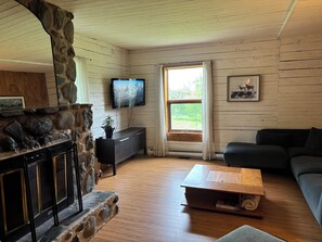 Smart TV, fireplace, books, music library