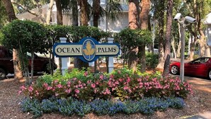 A sign for Ocean Palms with a logo, surrounded by colorful flowers and palm trees.