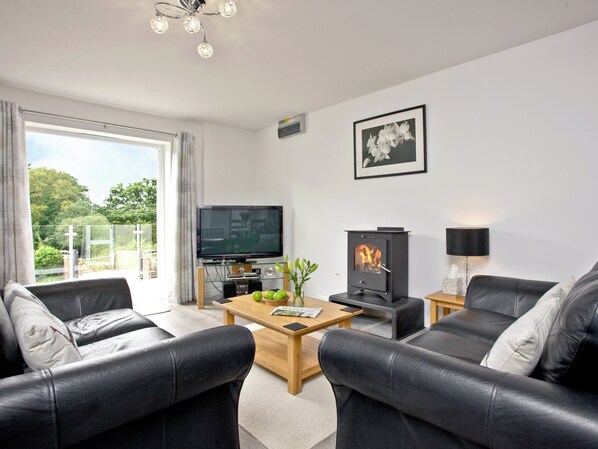 TV, fireplace - 2 bedroom accommodation in Whitegate, near Chard (Whitegate, near Chard)