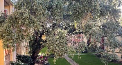 Quiet condo on the Santa Rosa Sound