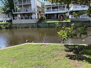 Ein Ufergrundstück mit einer Rasenfläche, einem Teich und einem mehrstöckigen Gebäude mit Balkonen.