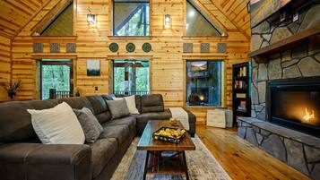 Smart TV, lareira, videogames, livros