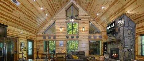 Smart TV, chimenea, videojuegos, libros