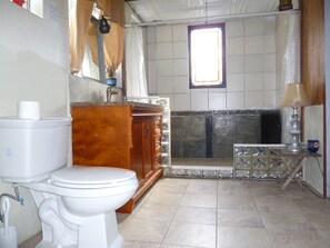 Shower, towels, toilet paper