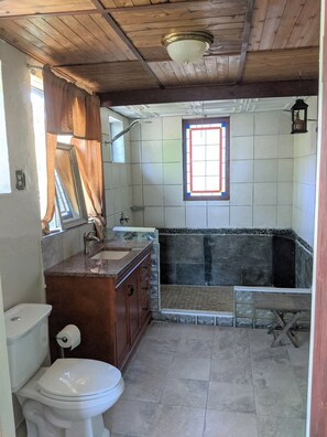 Shower, towels, toilet paper