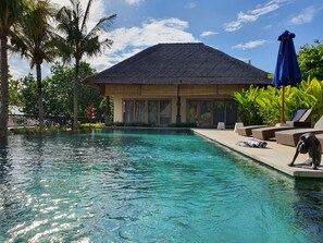 Outdoor pool, open 8:00 AM to 7:00 PM, pool umbrellas, pool loungers