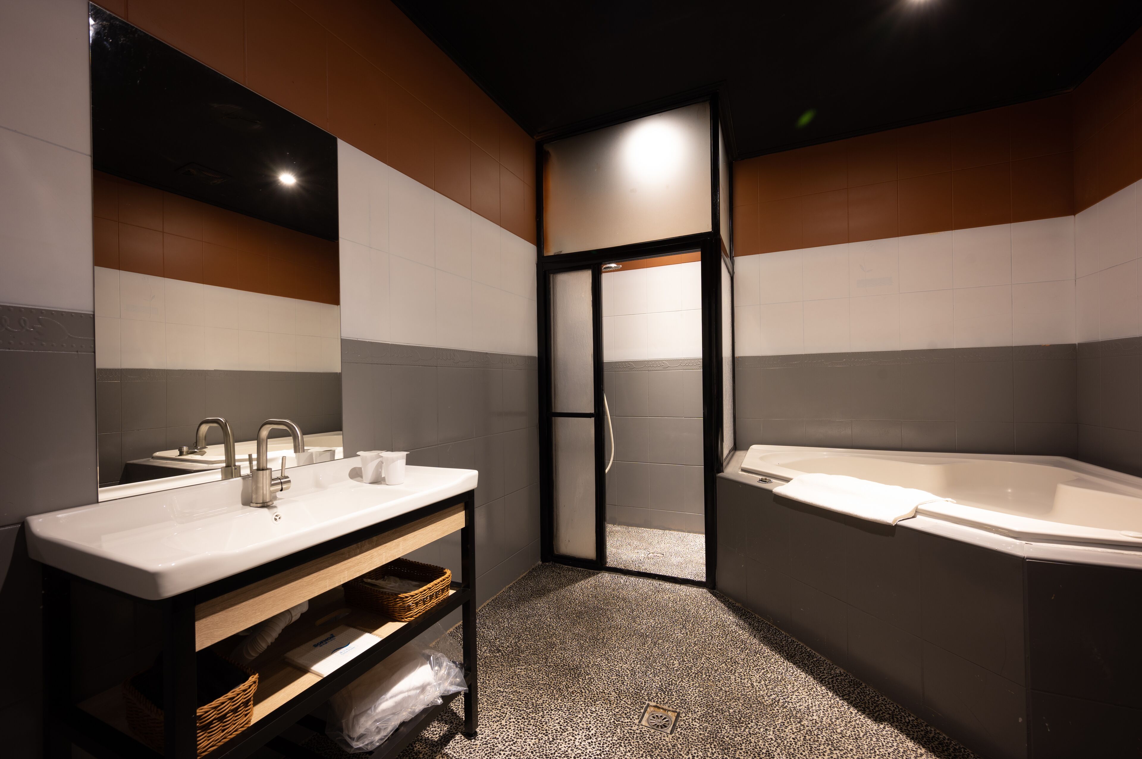 Hair dryer, towels, shampoo, toilet paper