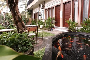 Quang cảnh từ phòng