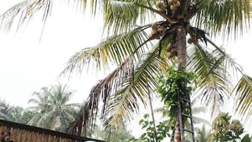 Children’s play area – outdoor