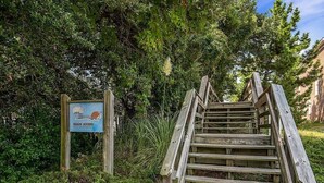 A wooden staircase leading to a beach access point, surrounded by lush greenery. - beach. Ocean view. Townhouse (Norfolk)