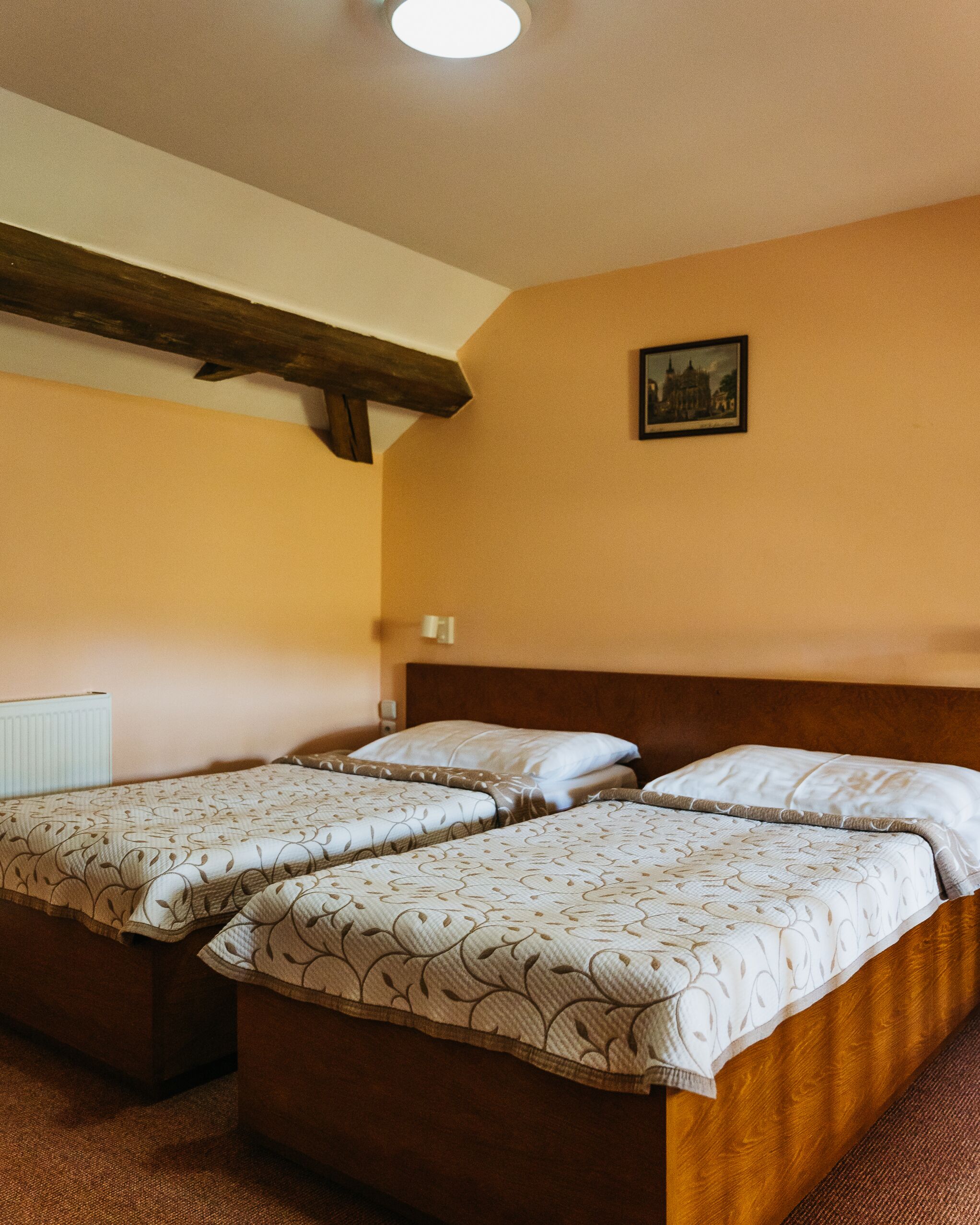 Foto - Hotel Čertousy