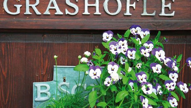 A wooden sign with the name 'GRASHÖFLE' and a sign below it with the letters 'BSC'. - Grashöfle (Sankt Oswald-Riedlhuette)