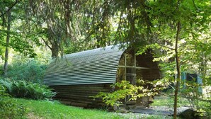 A rustic log cabin with a metal roof, surrounded by dense greenery and trees. - Grashöfle (Sankt Oswald-Riedlhuette)