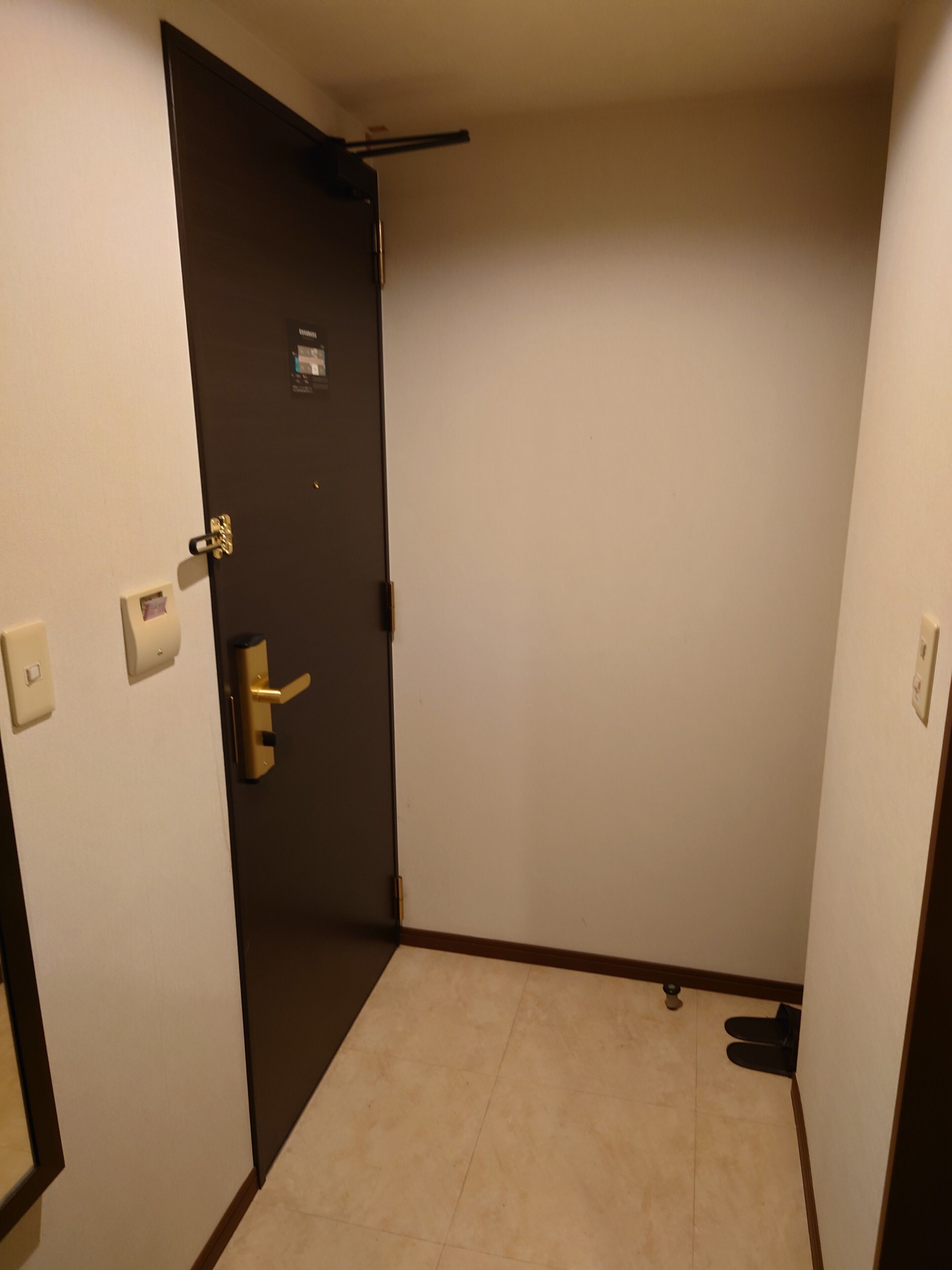A narrow hallway with a dark door, a light switch, and a small picture on the wall.