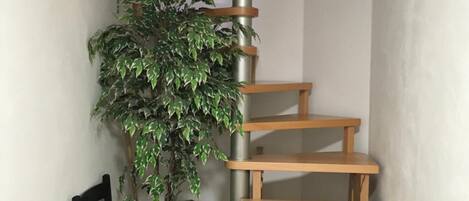 A wooden spiral staircase with a potted plant beside it.