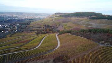 Eine Vogelperspektive auf ein Weinberg mit terrassenförmigen Feldern und einer kleinen Stadt im Hintergrund.
