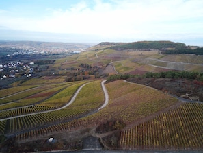 An aerial view of a vineyard with terraced fields and a small town in the background. - Pension Weingut Schwab (Thuengersheim)
