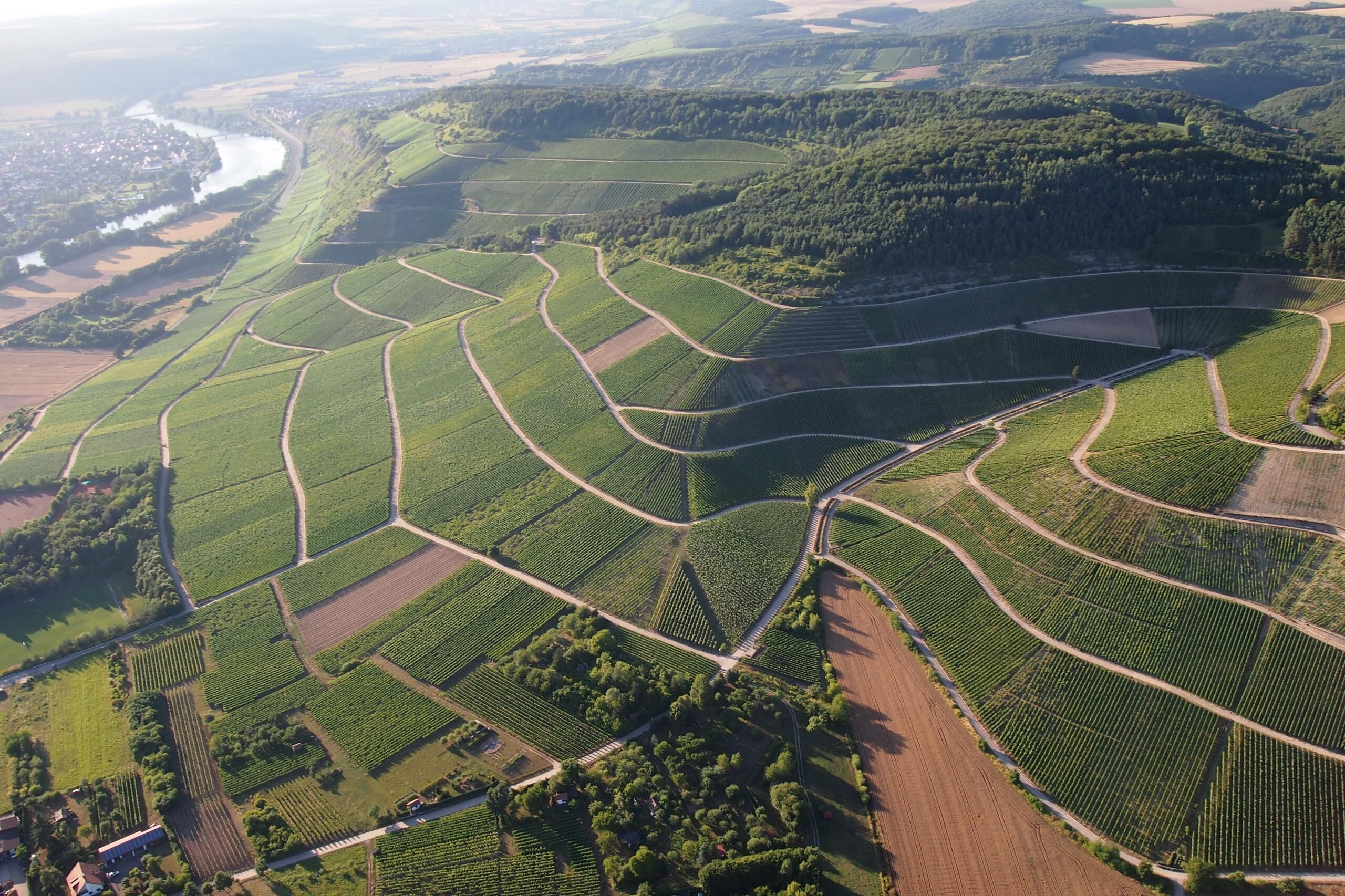 An aerial view of terraced vineyards with winding paths and a river in the background.