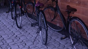Bicycles parked on a cobblestone path in front of a wooden building.