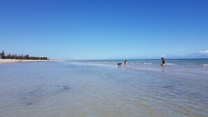 A beach with clear skies and calm waters. - Semaphore Sea Breeze-Family Beach/Pool Holiday. 450m to Beach. 20 min to airport (Semaphore)