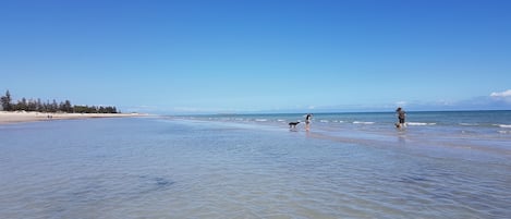Playa en los alrededores y toallas de playa