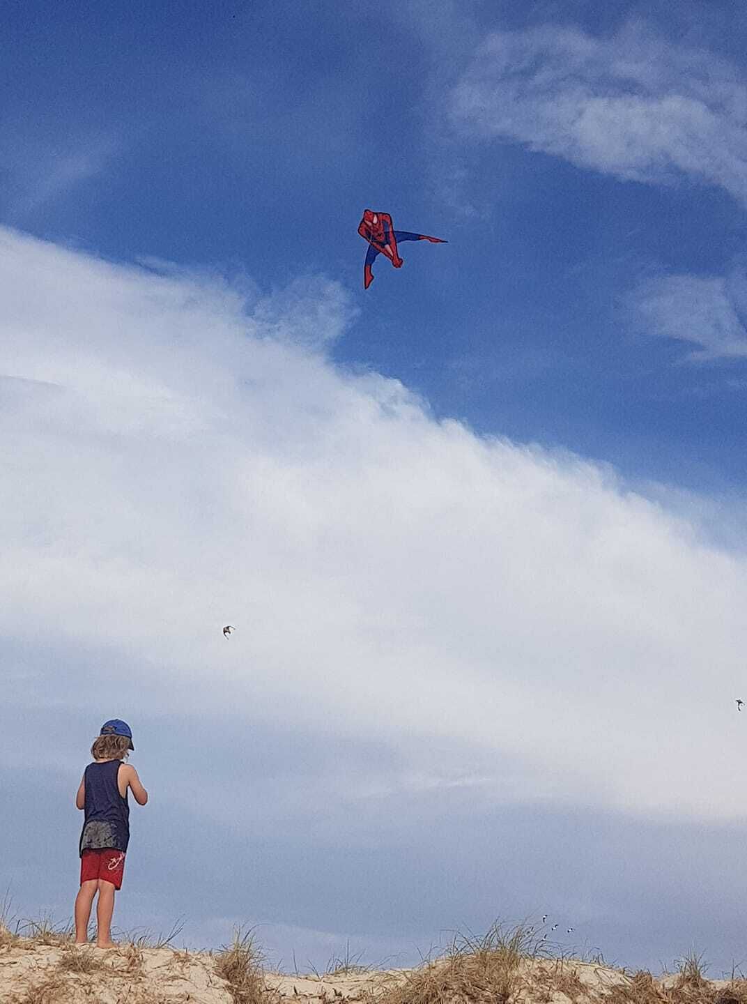 Semaphore Sea Breeze-Family Beach/Pool Holiday. 450m to Beach. 20 min to airport — image 27