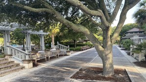 A wooden boardwalk with benches and a pergola structure. - Coligny Beach- spacious 3 bed condo super clean and close to everything Coligny! (Hilton Head)