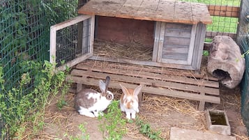 住宿场地
