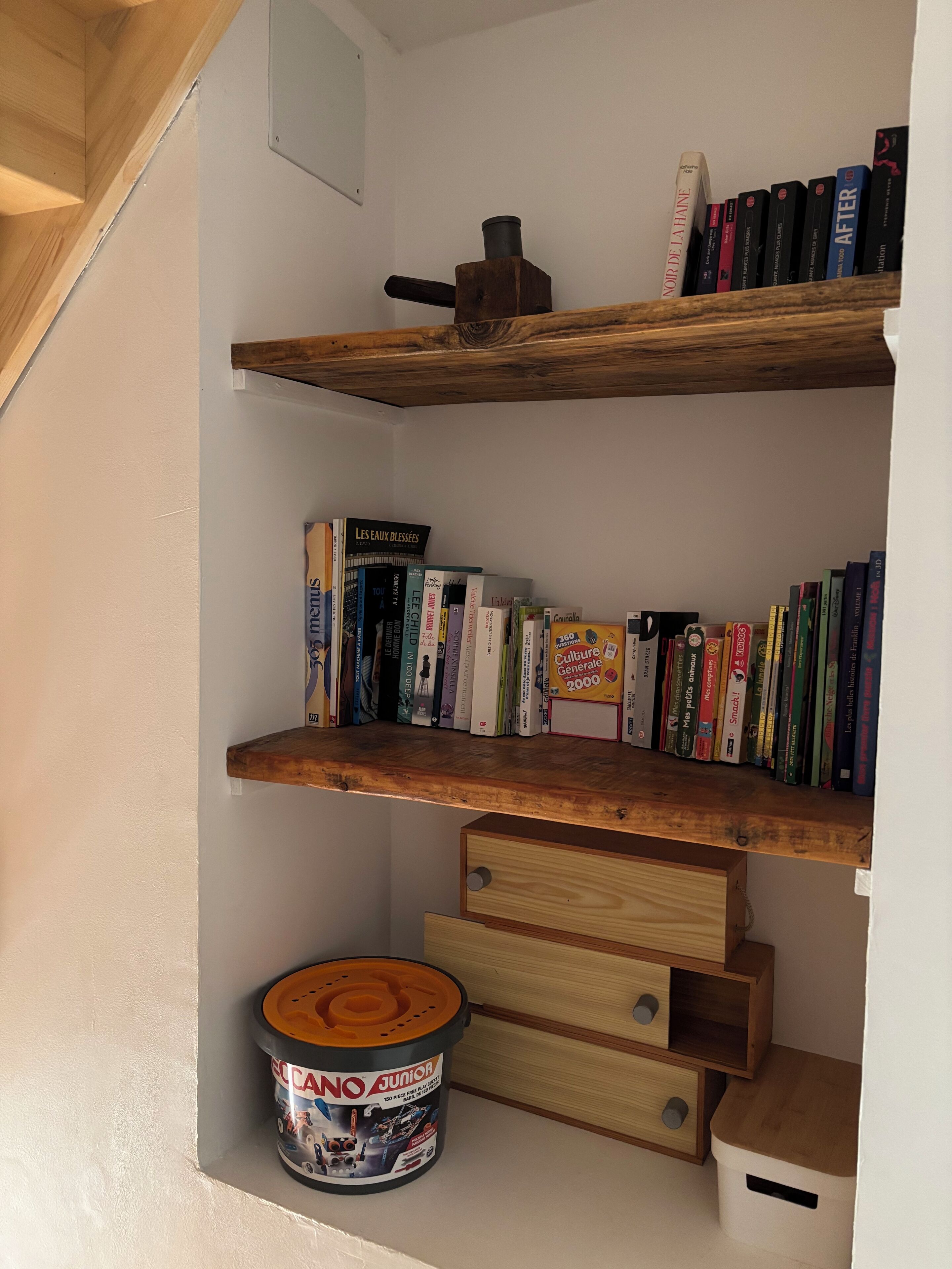 A bookshelf with various books, a small wooden shelf with a black object, and a container labeled "ECANO JUNIOR" on a lower shelf.