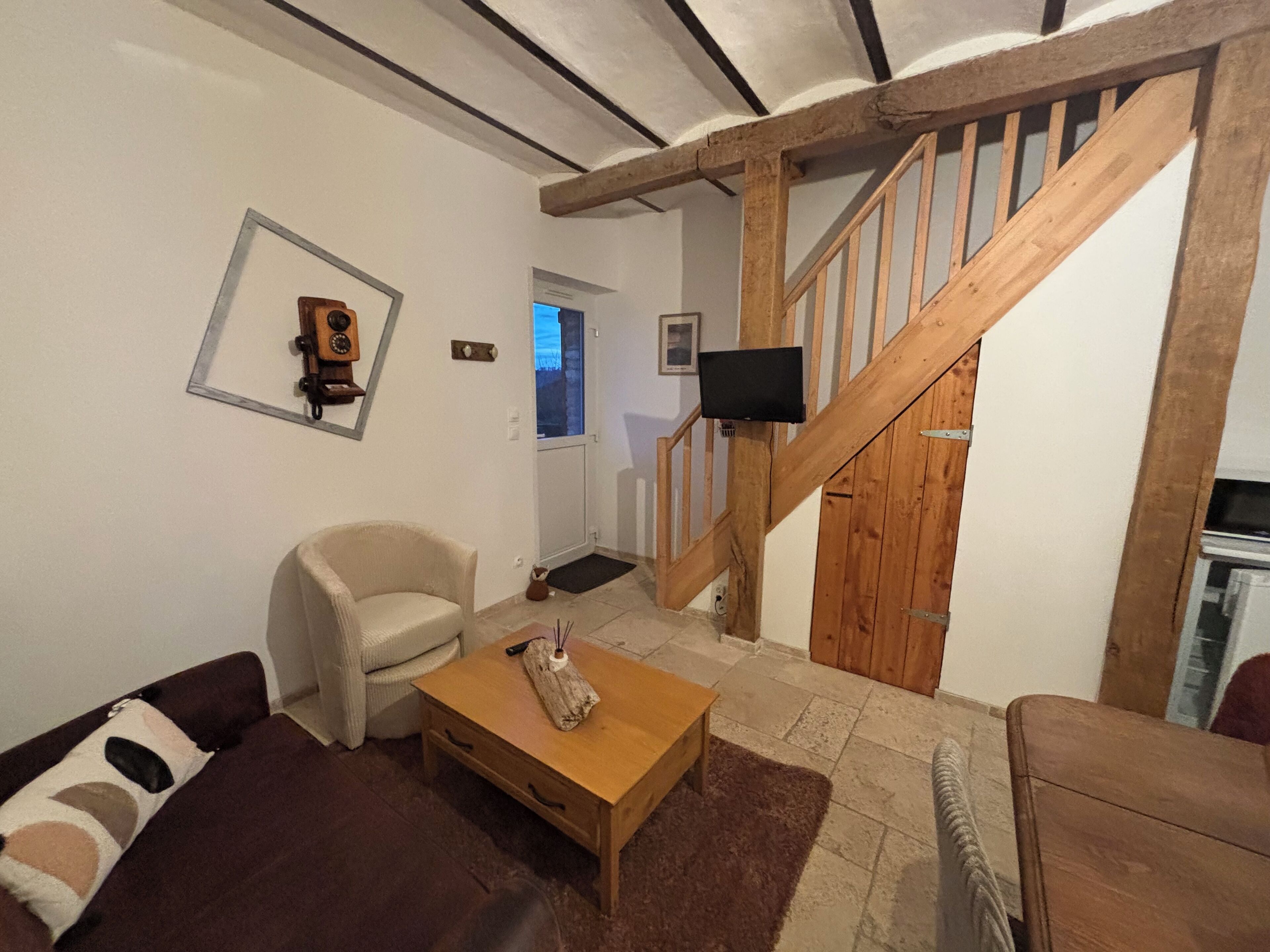 Televisión y libros 