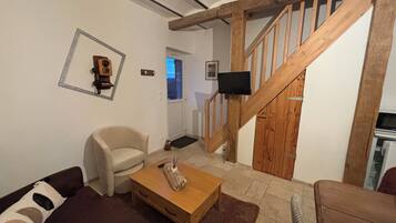 Televisión y libros