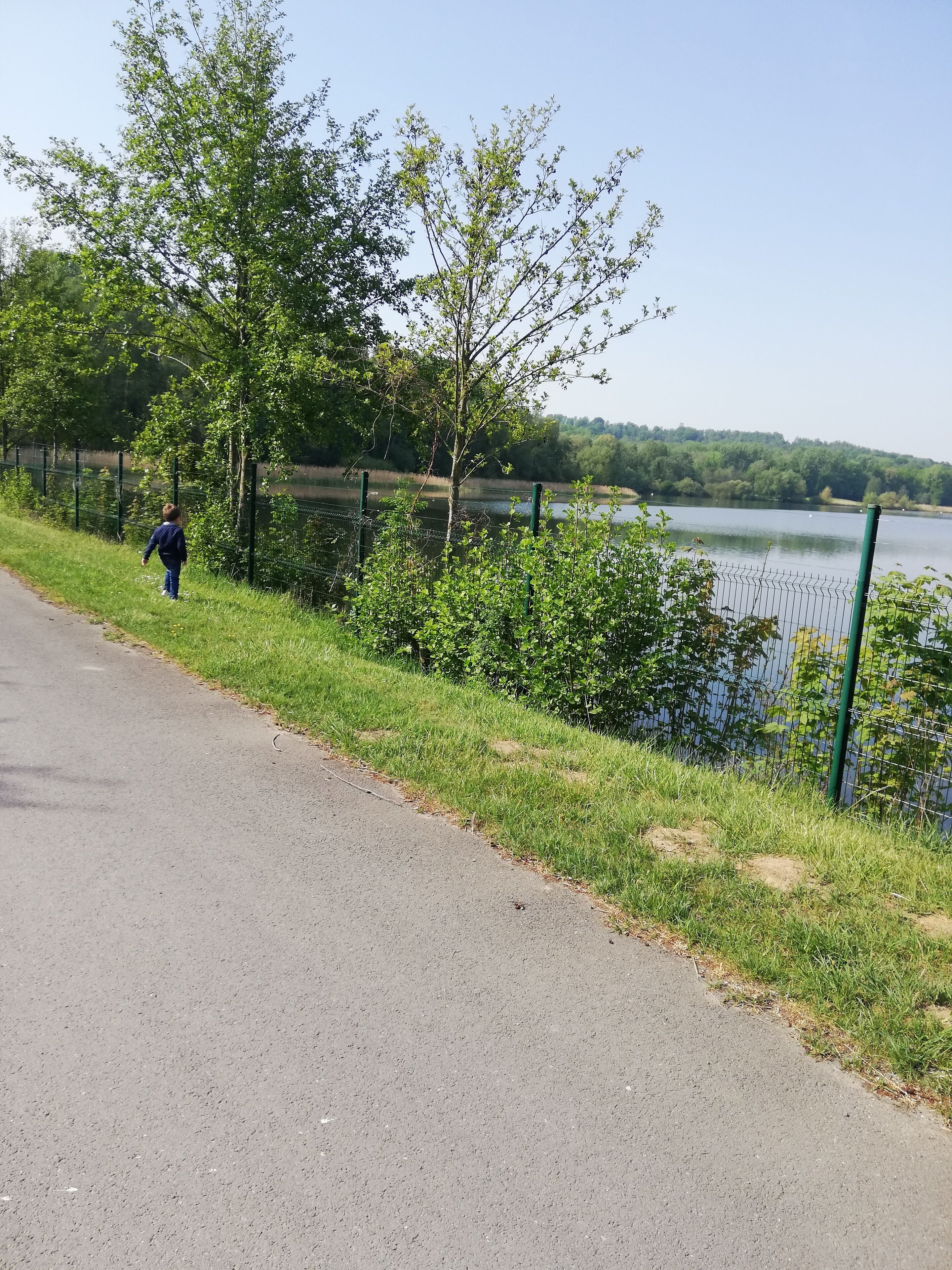 Un camí pavimentat al costat d'una massa d'aigua, amb una tanca i vegetació a un costat.