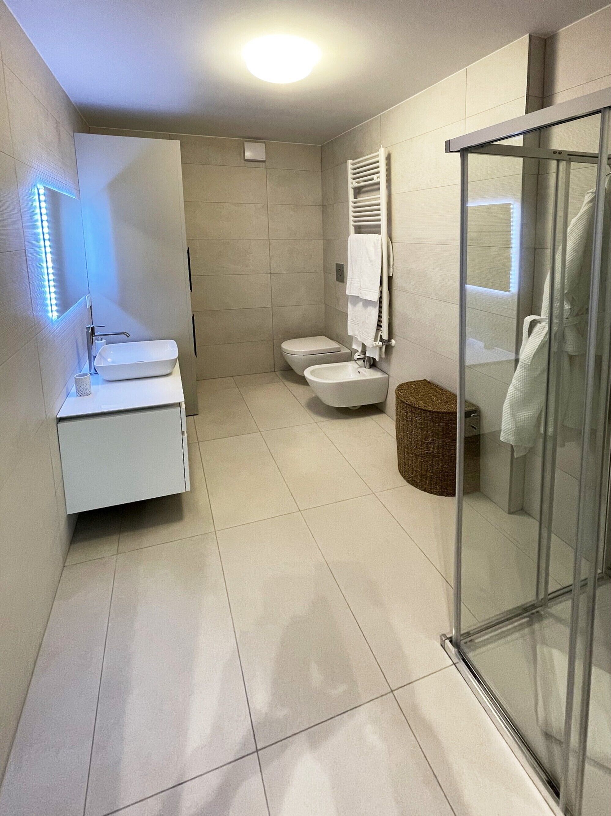 A modern bathroom with a glass shower enclosure, a white sink, and a toilet.