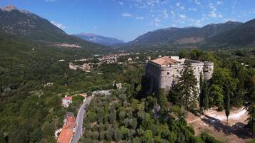 Un castello circondato da rigogliosa vegetazione e montagne.