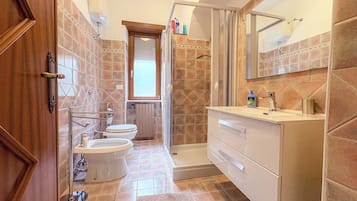 Shower, hair dryer, bidet, towels