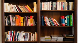 Library - Shared Classic Apartment in The Heart of Vienna (Vienna)