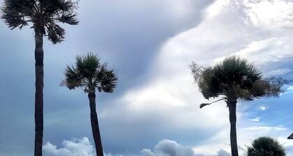 Oceanview, steps from Beach, Pool, Golf course & Restaurant, super clean!