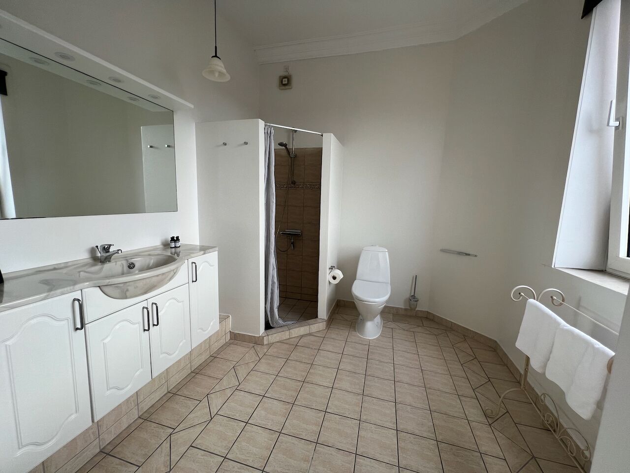 Un bagno con lavandino, WC, doccia e portasciugamani.