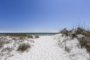 بالقرب من الشاطئ