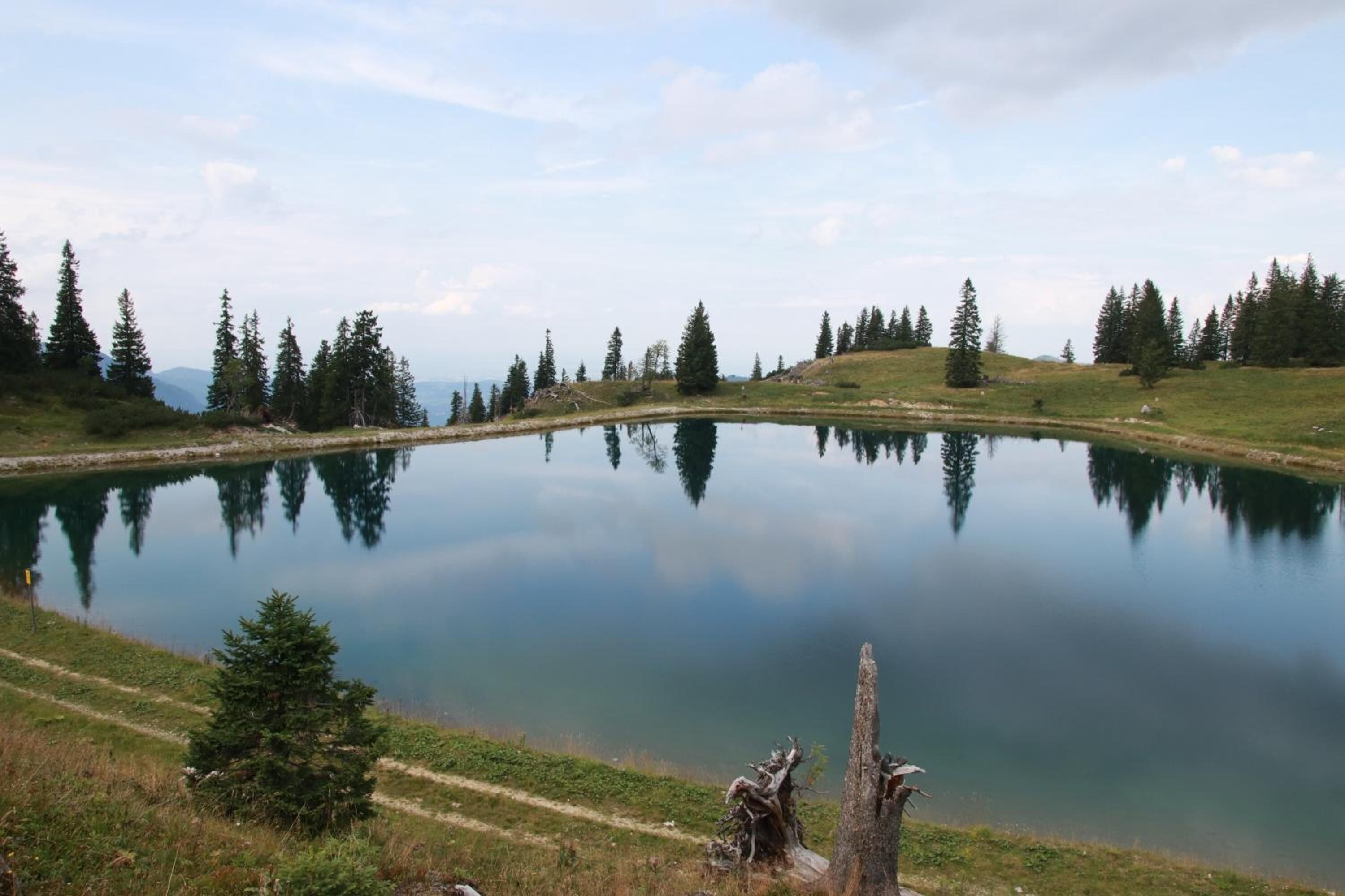 Un lago tranquilo rodeado de árboles y una zona verde.