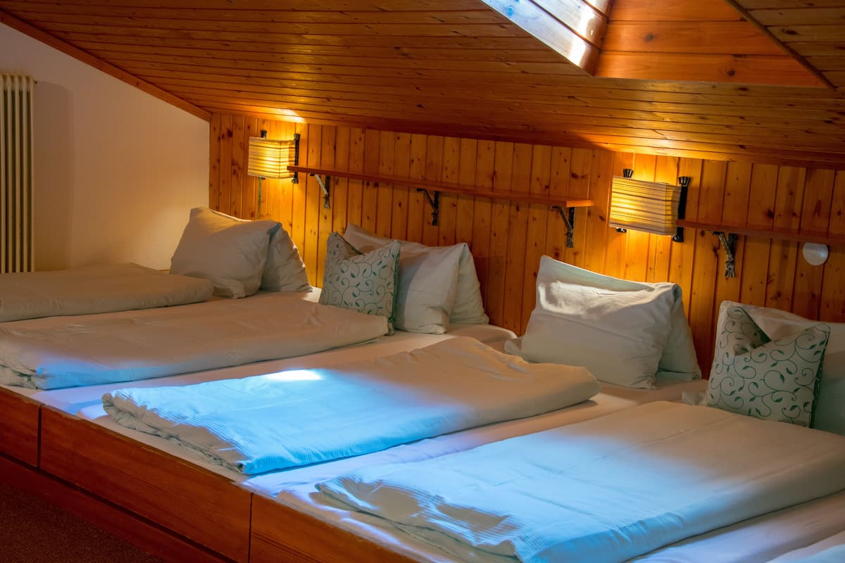 Chambre Junior, plusieurs lits, salle de bains commune, vue montagne